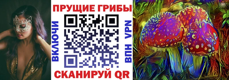 Галлюциногенные грибы Cubensis  мега ссылка  Пикалёво 